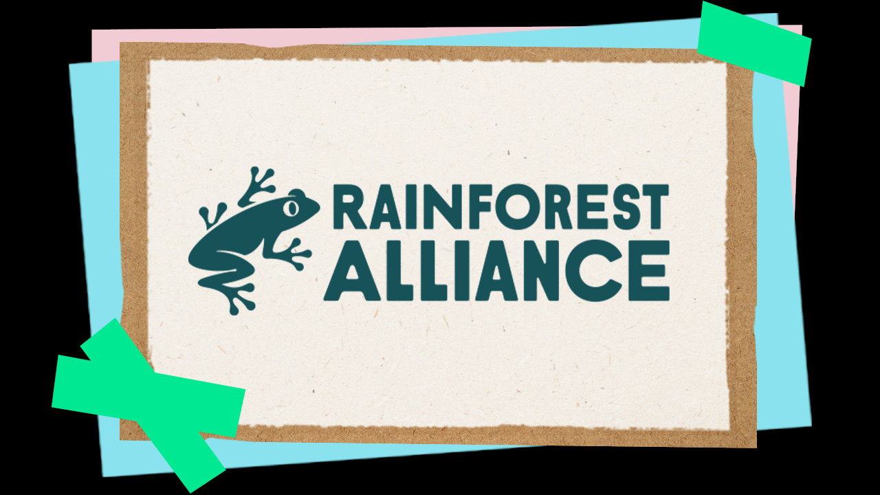 Animated tree frog as part of the logo for Rainforest Alliance.