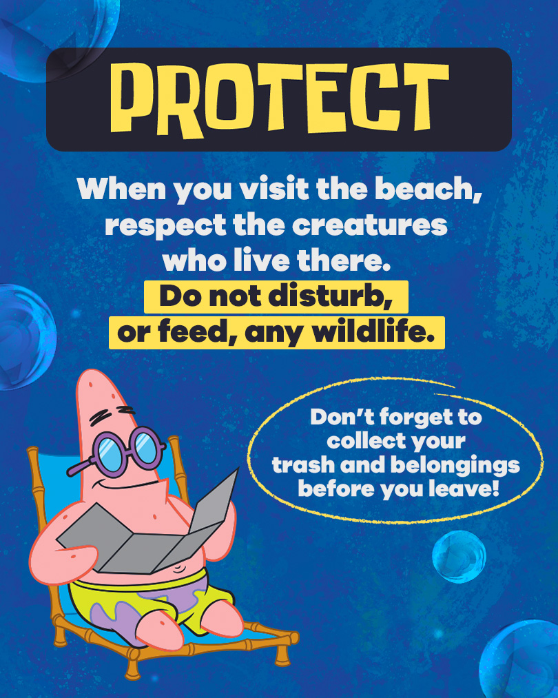 P is for Protect. When you visit the beach, respect the creatures who live there. Do not disturb, or feed, any wildlife.