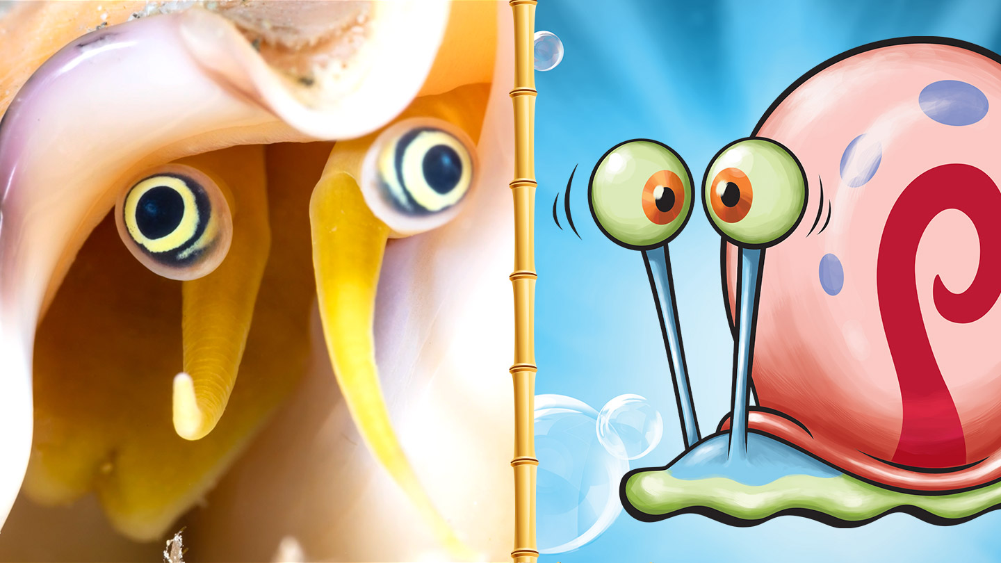 Nickelodeon Science of Spongebob IRL Thumbnail