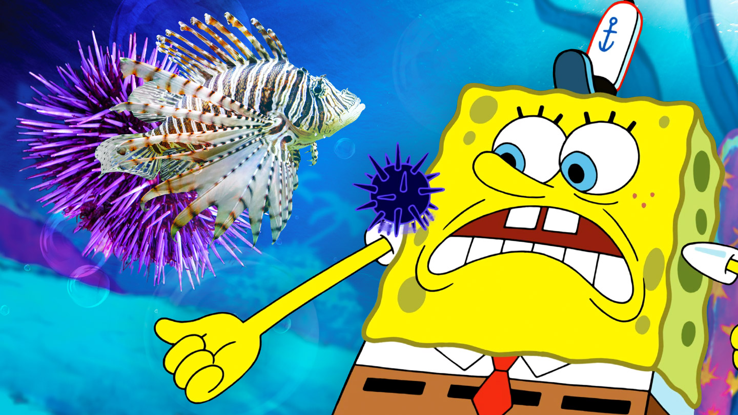 Nick Science of Spongebob Deep Sea Dangers Thumbnail