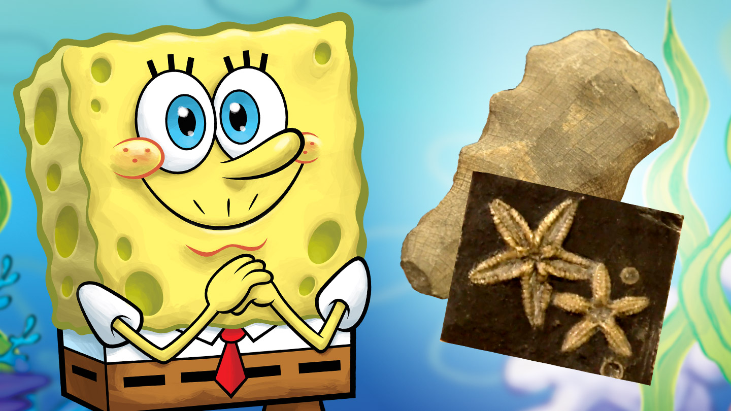Nickelodeon Science of SpongeBob Ancient Bikini Bottom Thumbnail